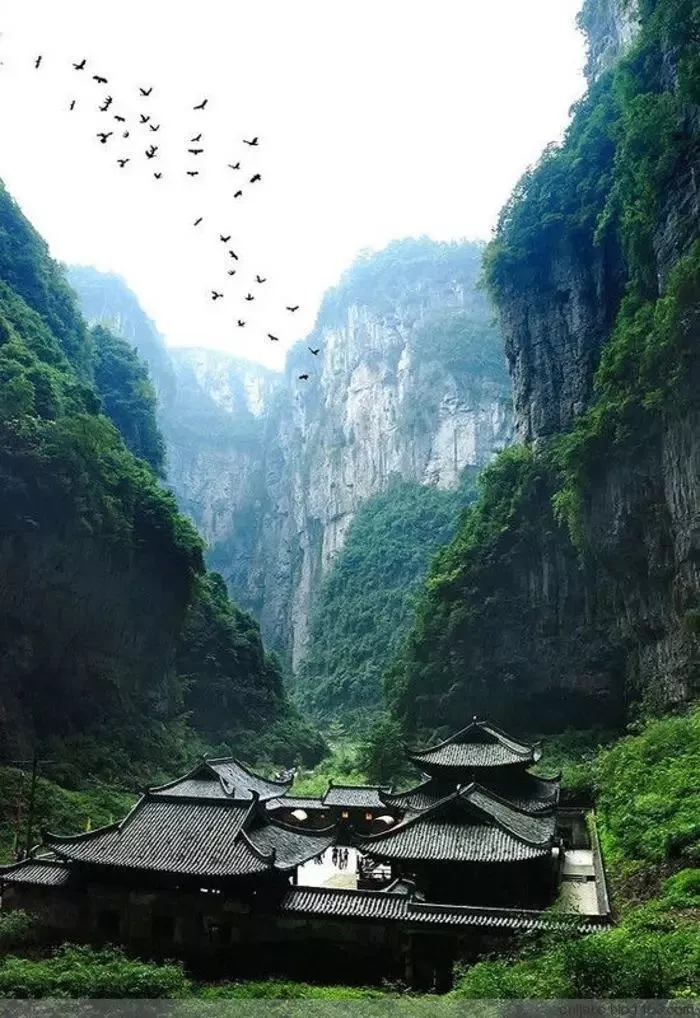 【佳诚分享】中国美学篇 · 雅